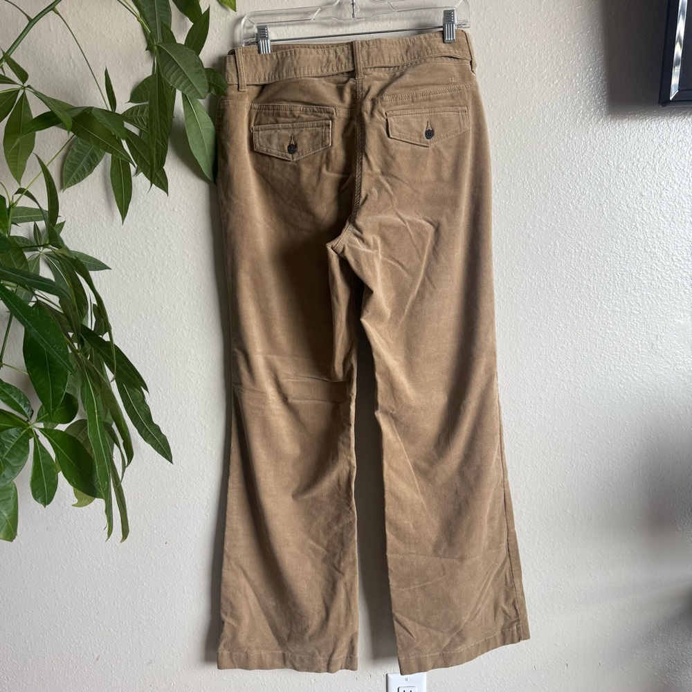 Tommy Hilfiger Khaki suede Straight Leg Pants with Belt